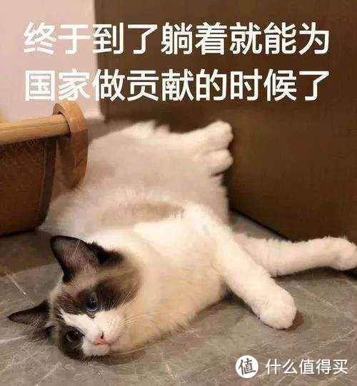 长篇攻略:switch健身环大冒险值得入吗?全家健身真的靠谱吗?舞力全开买数字版?你该知道的一切!